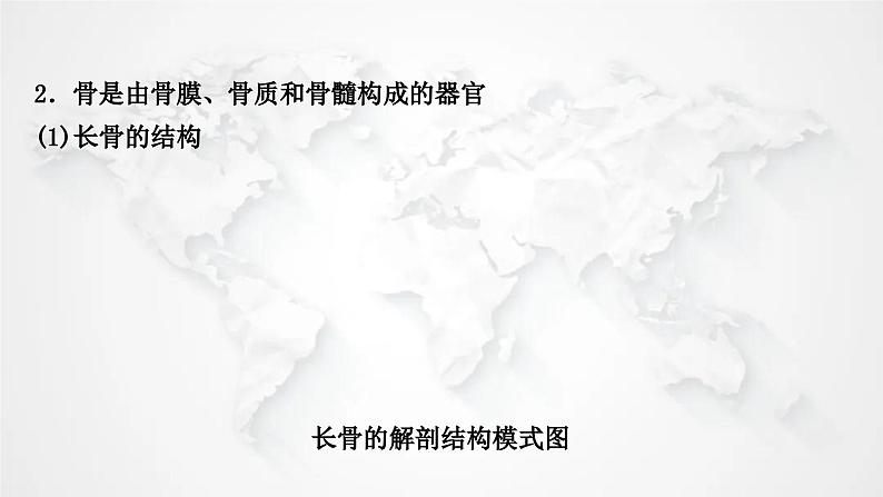 北师大版中考生物复习八年级上册第5单元生物圈中的动物和微生物第15章动物的运动课件第5页