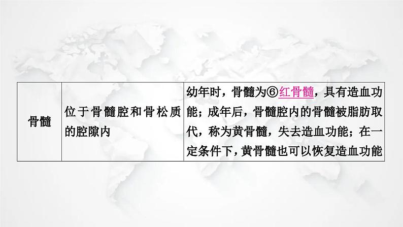 北师大版中考生物复习八年级上册第5单元生物圈中的动物和微生物第15章动物的运动课件第7页