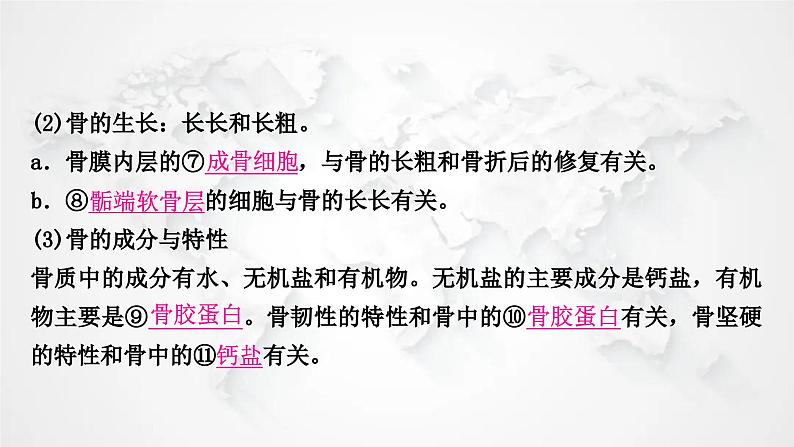 北师大版中考生物复习八年级上册第5单元生物圈中的动物和微生物第15章动物的运动课件第8页