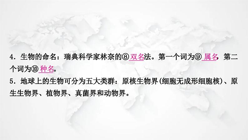 北师大版中考生物复习八年级下册第7单元生命的演化第22章物种的多样性课件05