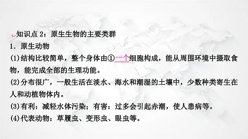 北师大版中考生物复习八年级下册第7单元生命的演化第22章物种的多样性课件06