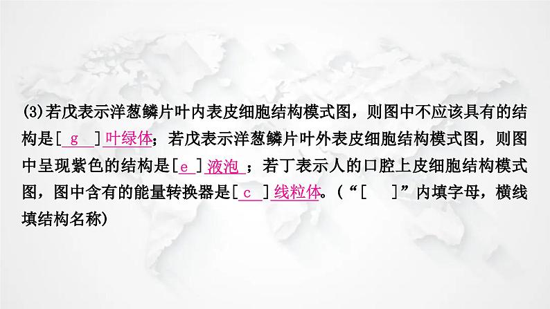 北师大版中考生物复习专项十实验探究题课件第8页
