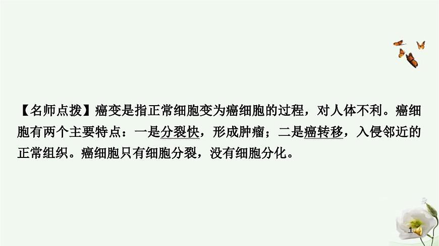 人教版中考生物復(fù)習(xí)七年級(jí)上冊(cè)第二單元第二章細(xì)胞怎樣構(gòu)成生物體課件第6頁(yè)