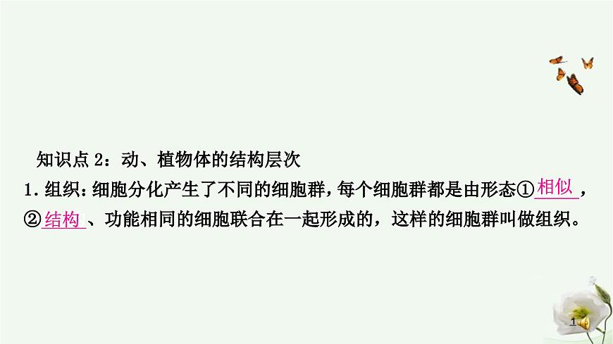 人教版中考生物復(fù)習(xí)七年級(jí)上冊(cè)第二單元第二章細(xì)胞怎樣構(gòu)成生物體課件第8頁(yè)