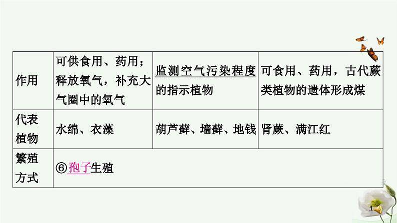 人教版中考生物复习七年级上册第三单元第一章生物圈中有哪些绿色植物课件03
