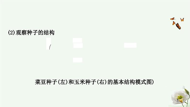 人教版中考生物复习七年级上册第三单元第一章生物圈中有哪些绿色植物课件05
