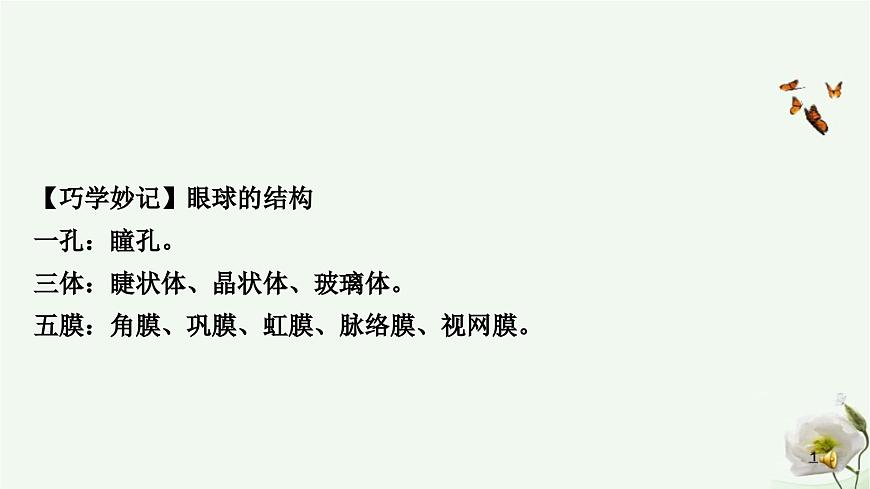 人教版中考生物復(fù)習(xí)七年級(jí)下冊(cè)第四單元第六章人體生命活動(dòng)的調(diào)節(jié) 第七章人類活動(dòng)對(duì)生物圈的影響課件第5頁