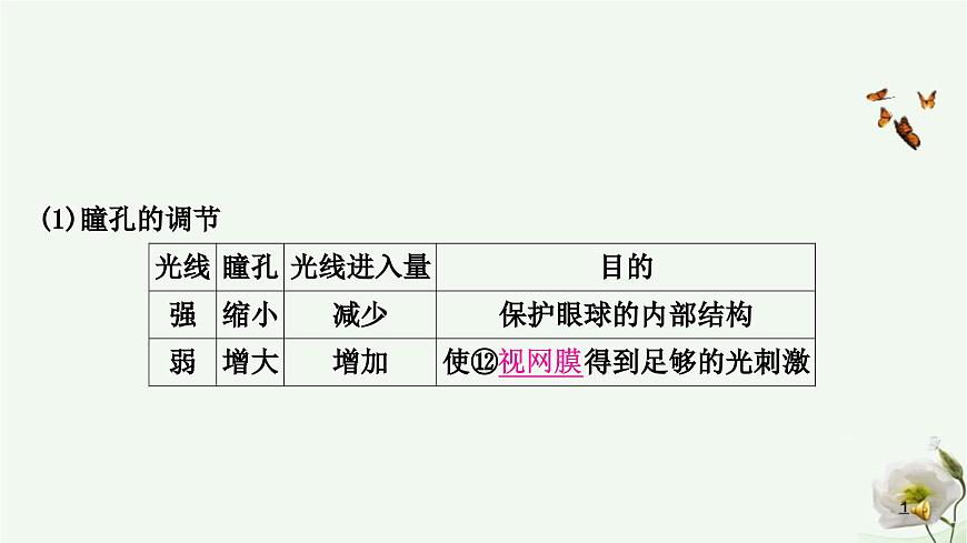 人教版中考生物復(fù)習(xí)七年級(jí)下冊(cè)第四單元第六章人體生命活動(dòng)的調(diào)節(jié) 第七章人類活動(dòng)對(duì)生物圈的影響課件第7頁