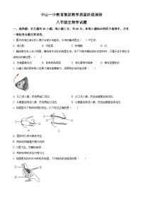 广东省中山市第一中学教育集团2023-2024学年八年级下学期中考一模生物试题（原卷版+解析版）