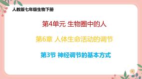 生物七年级下册第四单元 生物圈中的人第六章 人体生命活动的调节第三节 神经调节的基本方式精品教学ppt课件