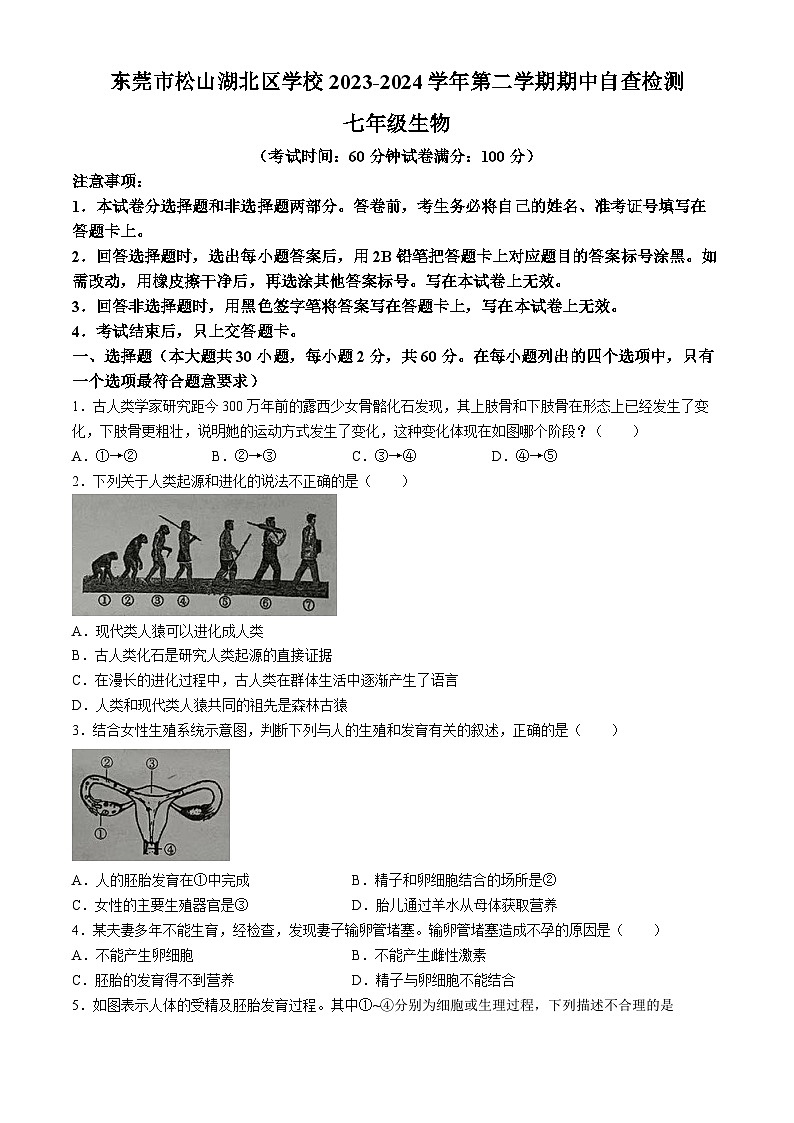 广东省东莞市松山湖北区学校2023-2024学年七年级下学期期中考试生物测试题(无答案)第1页