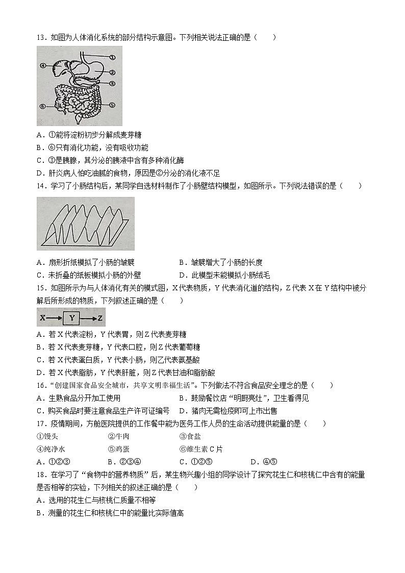 广东省东莞市松山湖北区学校2023-2024学年七年级下学期期中考试生物测试题(无答案)第3页