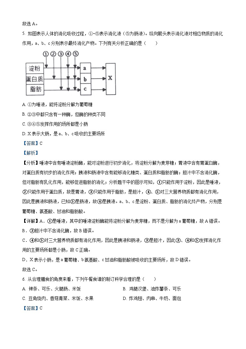 山东省滨州市滨城区2023-2024学年七年级下学期期中生物试题(解析版)第3页