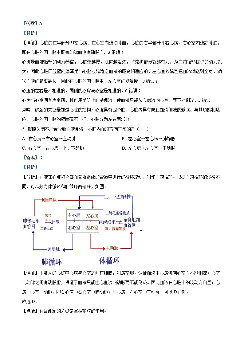 河北省邢台市任泽区2023-2024学年七年级下学期期中生物试题(解析版)第3页