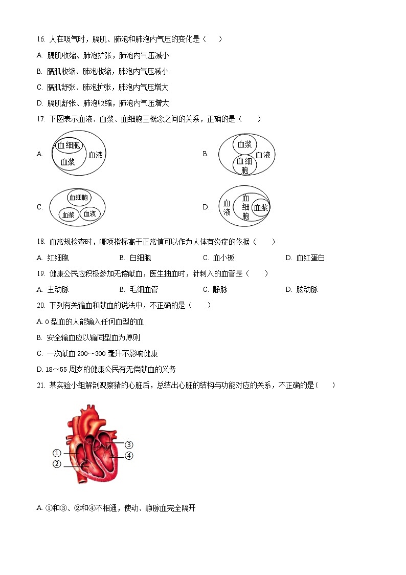 山东省聊城市冠县2023-2024学年七年级下学期期中生物试题(原卷版+解析版)03