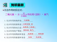 3.5.2呼吸作用课件2023--2024学年北师大版生物七年级上册