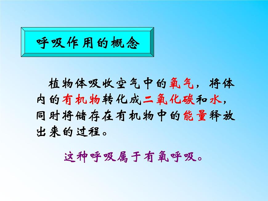 3.5.2呼吸作用課件2023--2024學(xué)年北師大版生物七年級上冊第3頁
