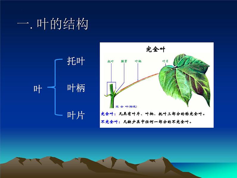 3.5.1光合作用(第1课时)课件2023--2024学年北师大版生物七年级上册02