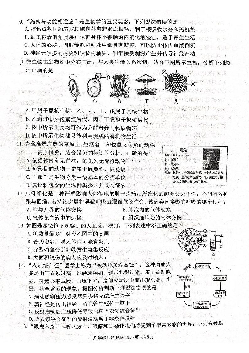 2024年山东省潍坊市高密市中考一模生物学试题03