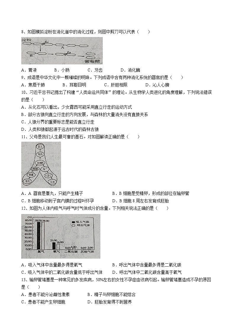 河北省唐山市乐亭县2023-2024学年七年级下学期期中考试生物试题02