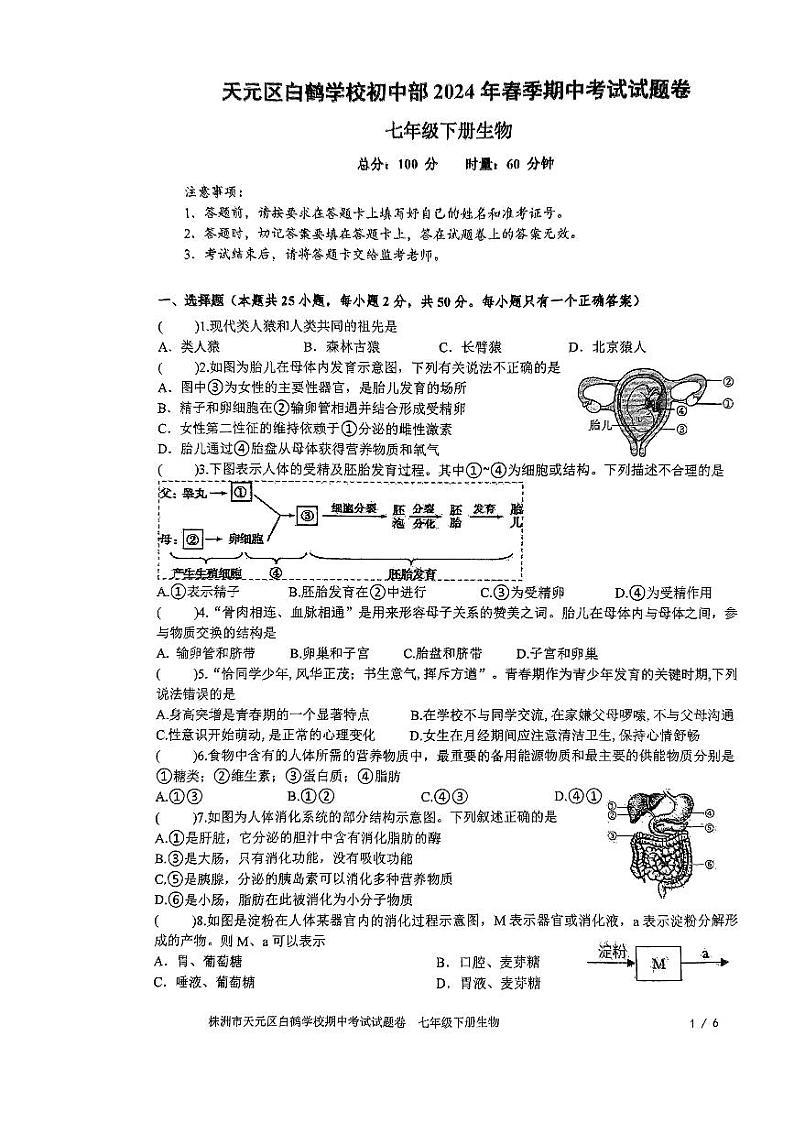 湖南省株洲市天元区白鹤学校2023-2024学年七年级下学期期中生物试题卷第1页