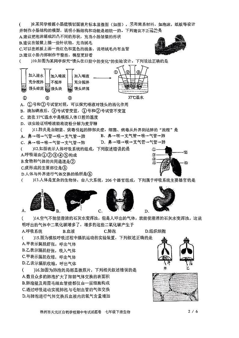 湖南省株洲市天元区白鹤学校2023-2024学年七年级下学期期中生物试题卷第2页
