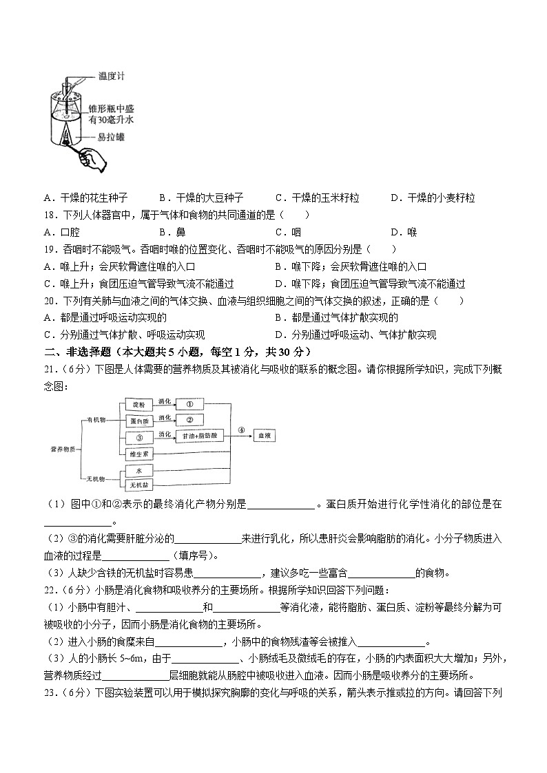 河南省驻马店市第二十二初级中学2023-2024学年七年级下学期期中质量检测生物试题03