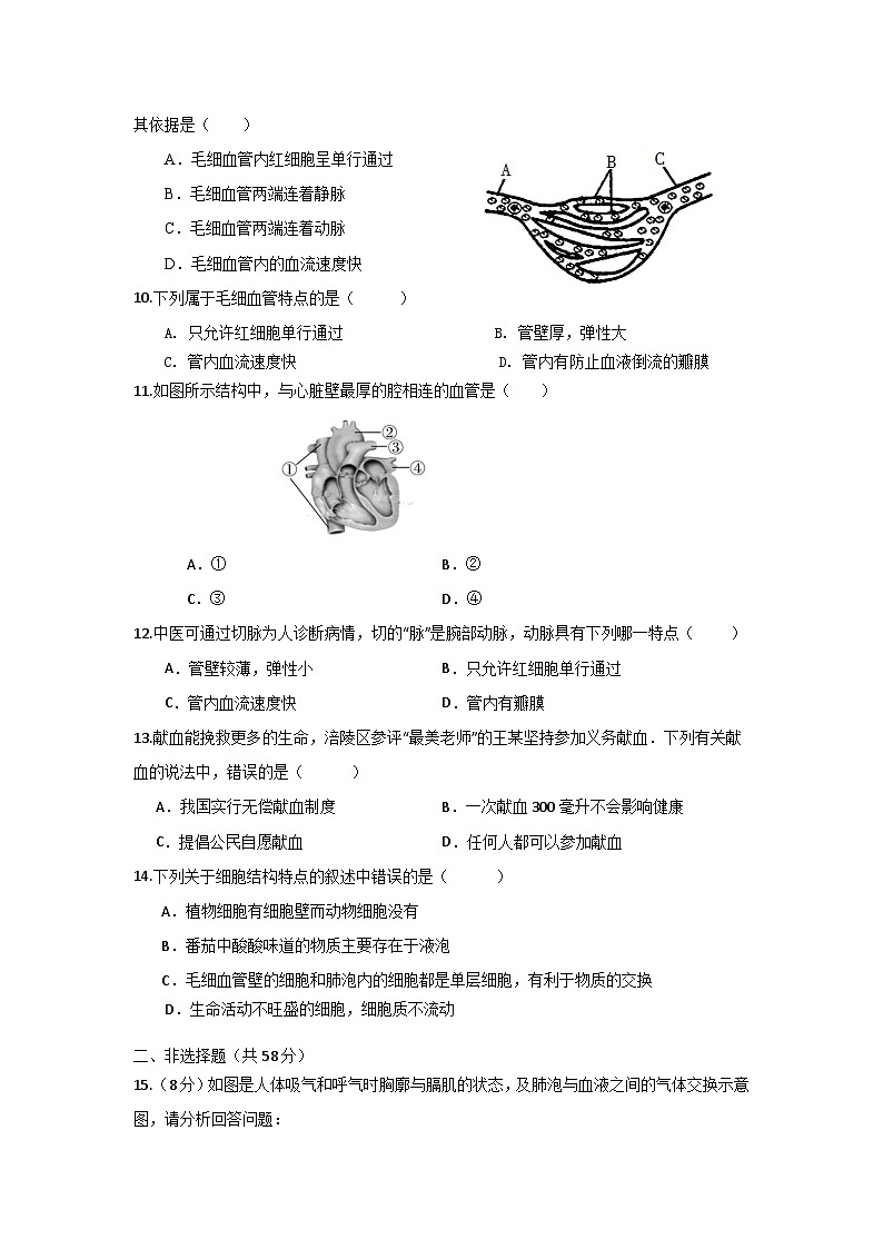 海南省海口市第一中学2023-2024学年七年级下学期期中考试生物试题A卷02