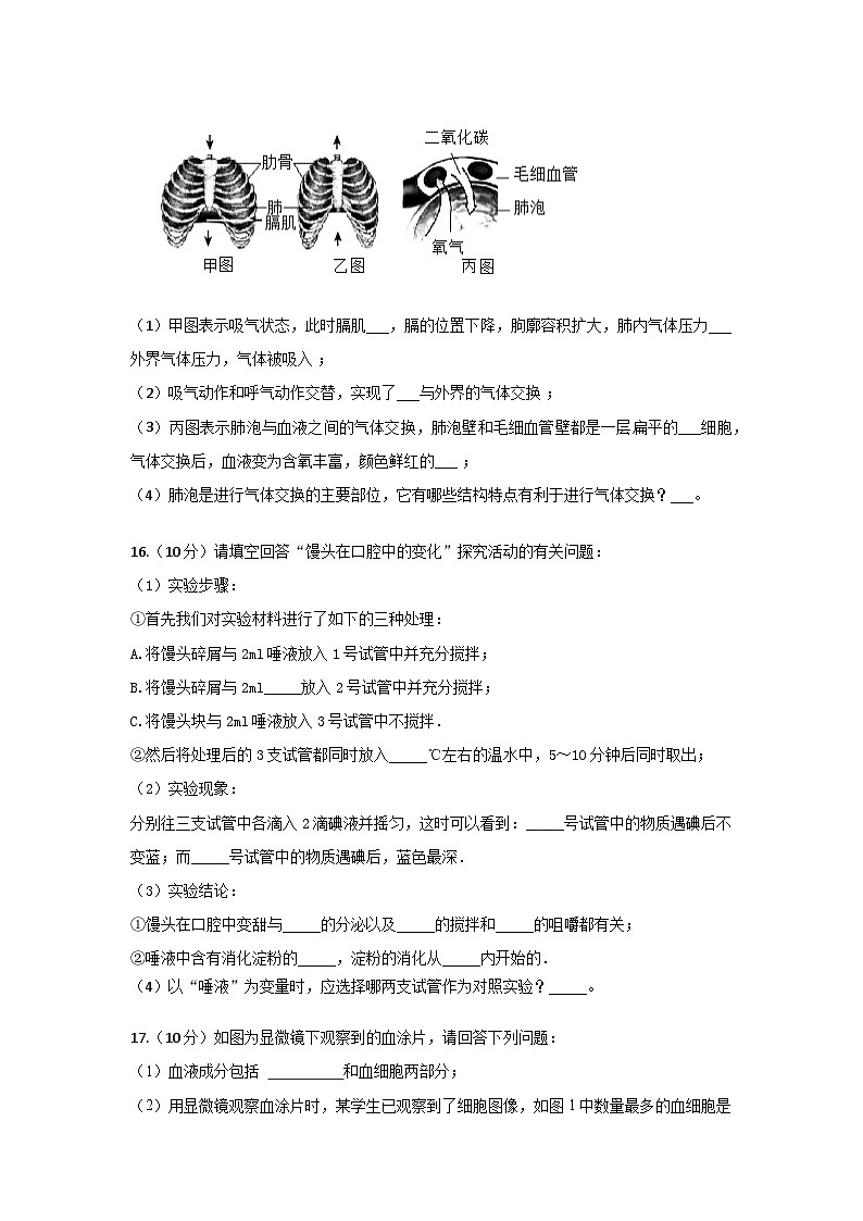 海南省海口市第一中学2023-2024学年七年级下学期期中考试生物试题A卷03