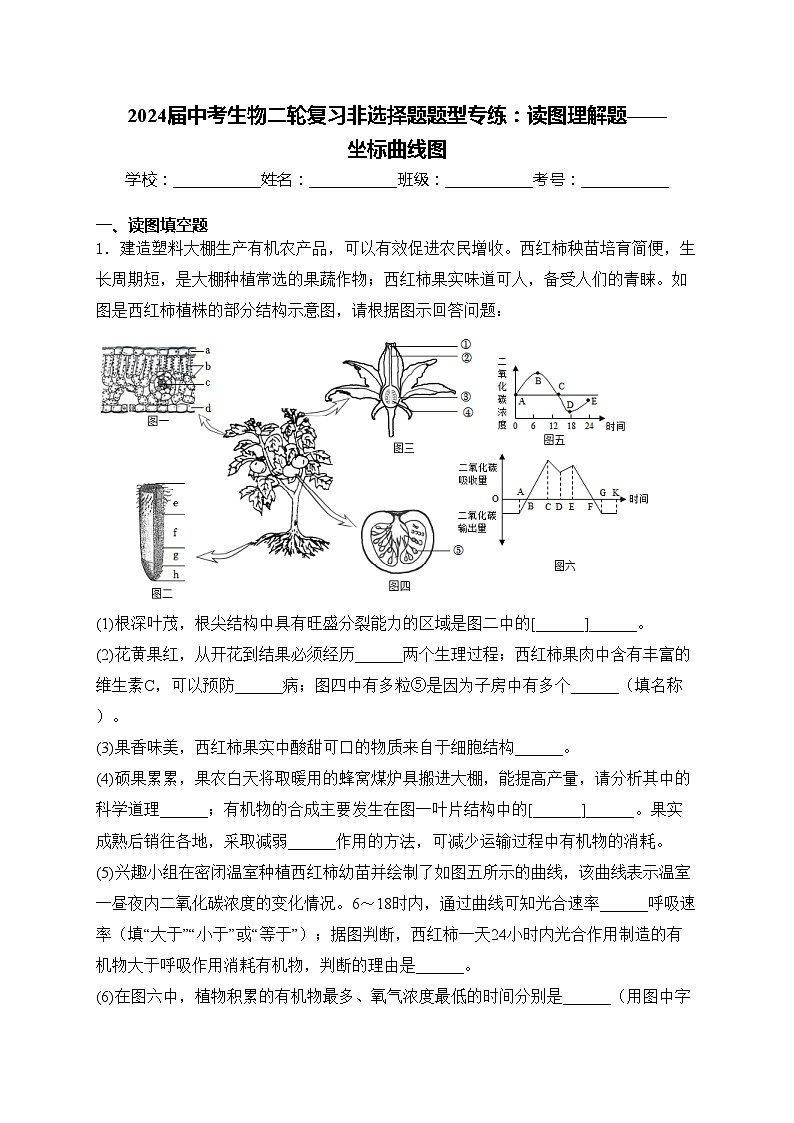 2024届中考生物二轮复习非选择题题型专练:读图理解题——坐标曲线图(含答案)第1页