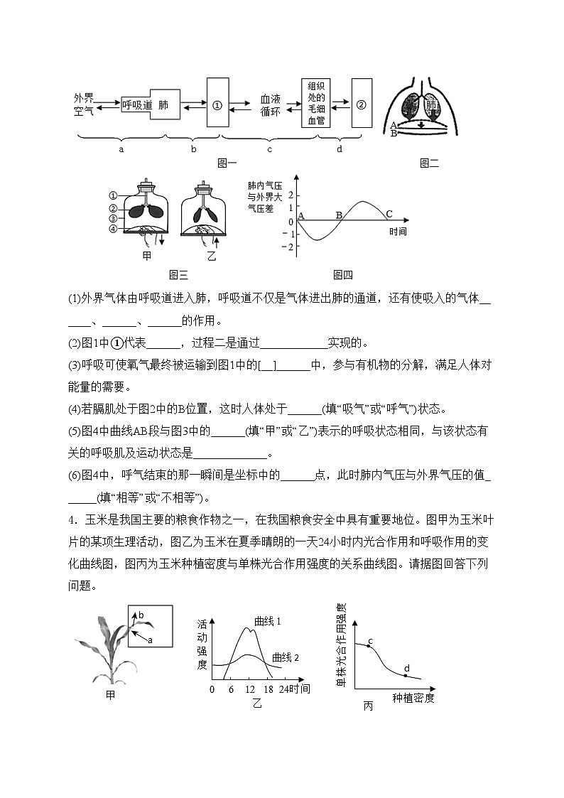 2024届中考生物二轮复习非选择题题型专练:读图理解题——坐标曲线图(含答案)第3页