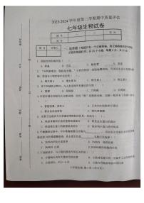 河北省唐山市滦南县2023-2024学年七年级下学期4月期中生物试题