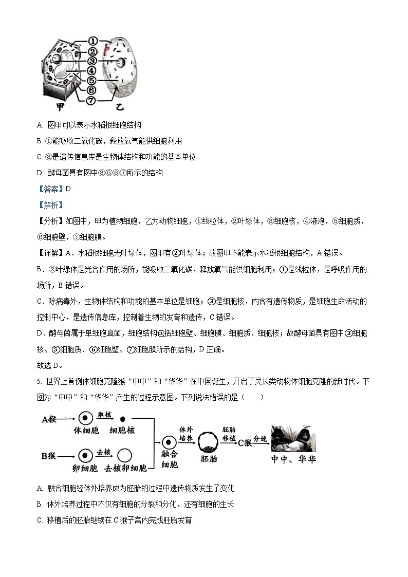 2024年山東省淄博市博山區(qū)中考一模生物試題(解析版)第3頁