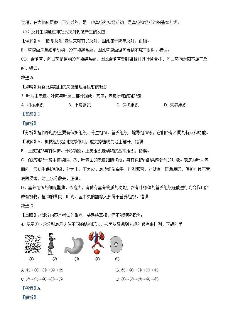 湖南省郴州市桂阳县蒙泉学校2023-2024学年八年级下学期期中生物试题(原卷版+解析版)02