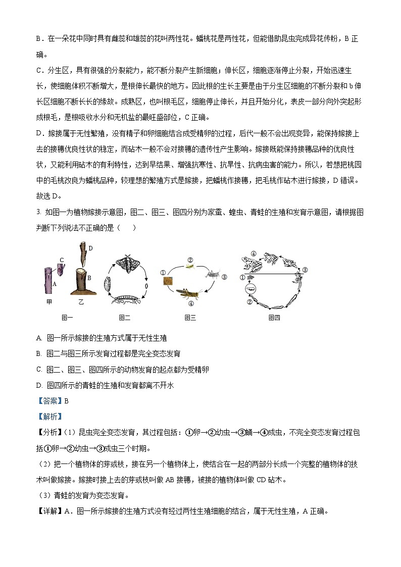 精品解析:四川省达州市宣汉县2022-2023学年八年级下学期期末生物试题(解析版)第2页