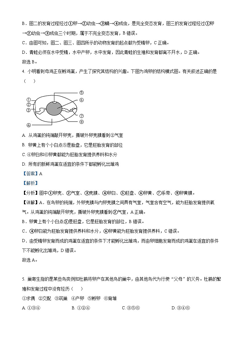 精品解析:四川省达州市宣汉县2022-2023学年八年级下学期期末生物试题(解析版)第3页