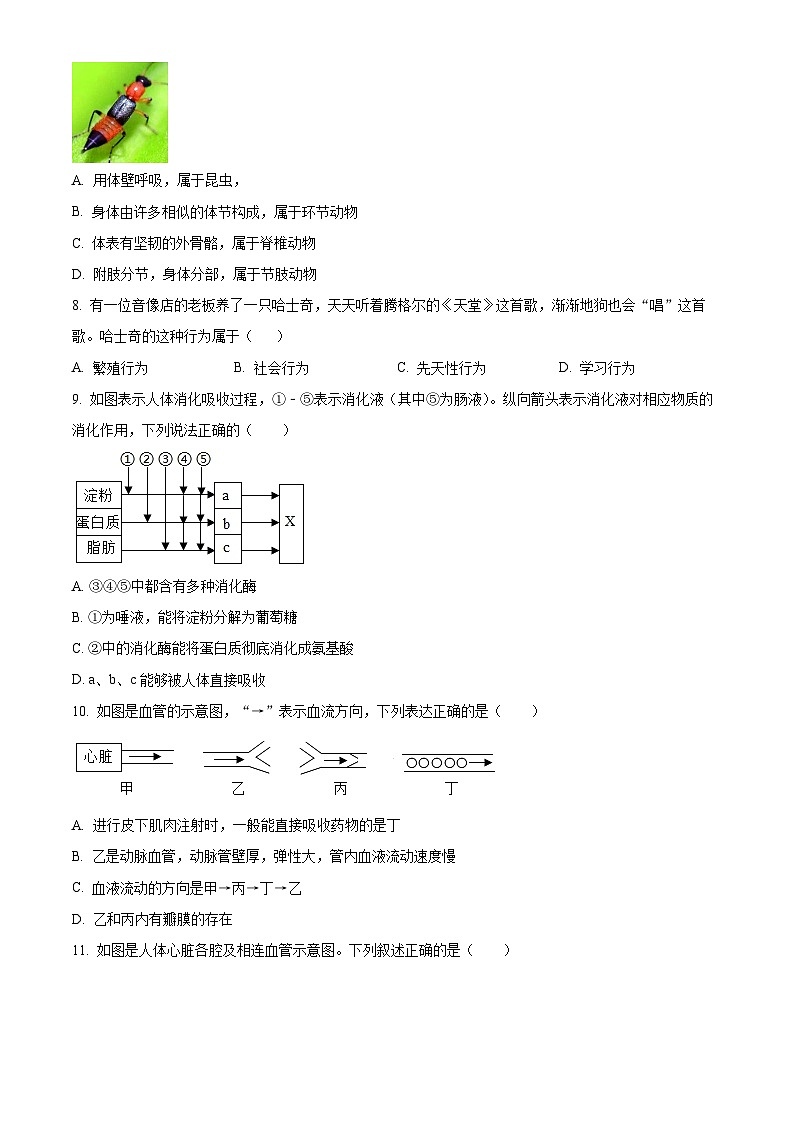 2024年山东省德州市夏津县中考一模生物试题(原卷版+解析版)03