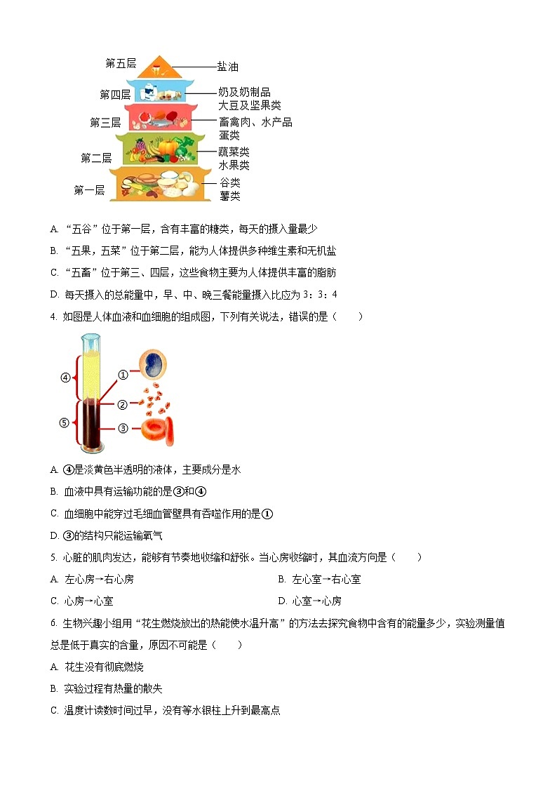 安徽省阜阳市临泉县中学联考2023-2024学年七年级下学期期中生物试题(原卷版)第2页