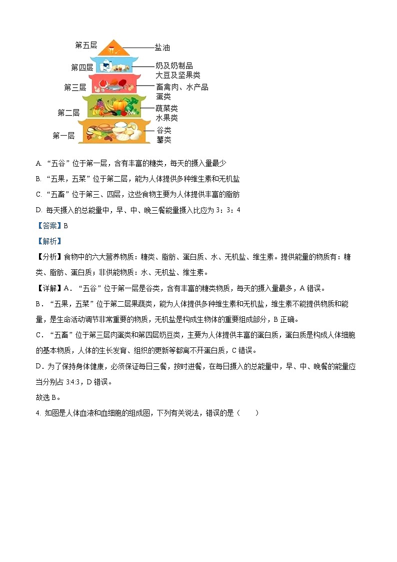 安徽省阜阳市临泉县中学联考2023-2024学年七年级下学期期中生物试题(解析版)第3页