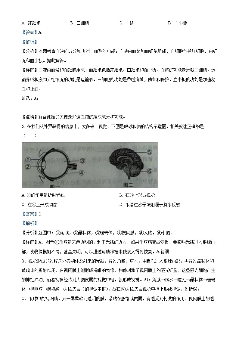 2024年辽宁省营口市初中中考适应性测试生物试题(解析版)第3页