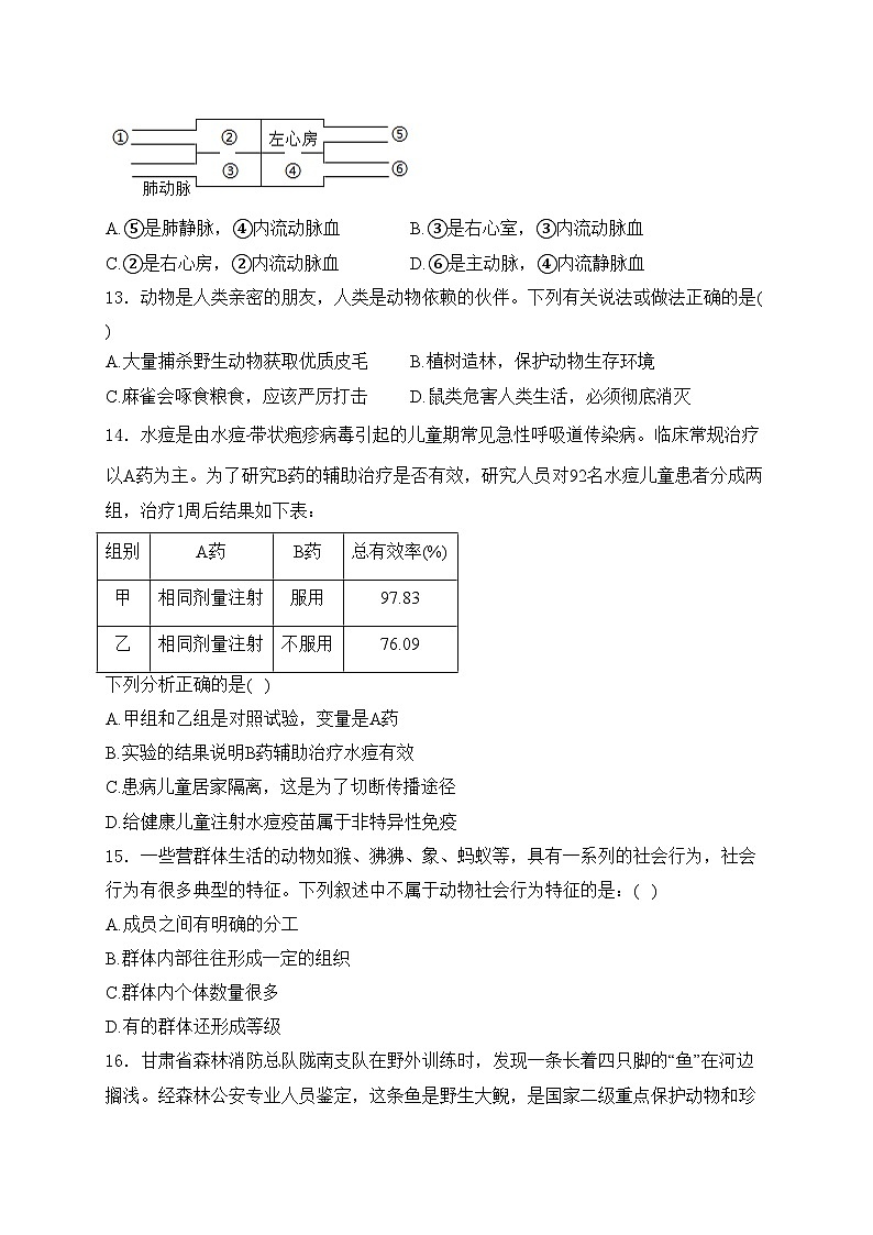 甘肃省陇南市武都区2024年中考一模生物试卷(含答案)03