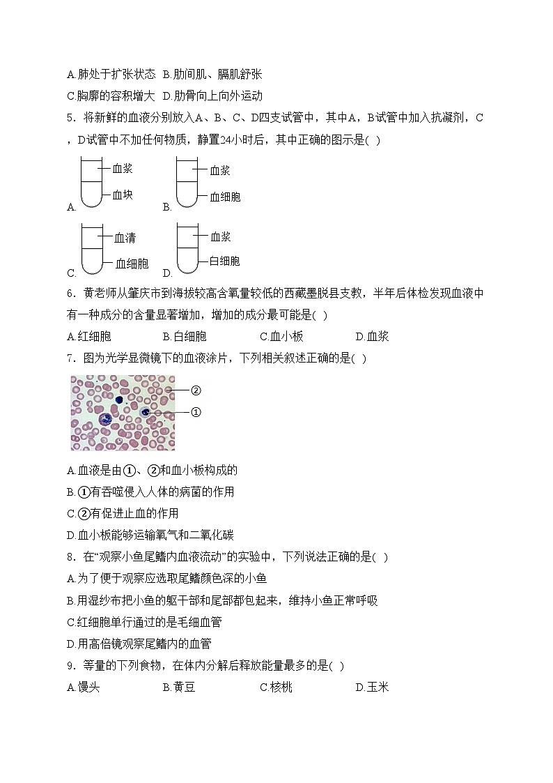 辽宁省鞍山市立山区2022-2023学年七年级下学期期中生物试卷(含答案)02