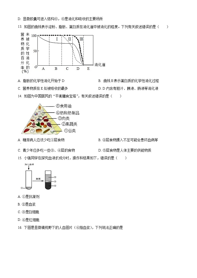 湖南省永州市新田县2023-2024学年七年级下学期期中生物试题(原卷版)第3页