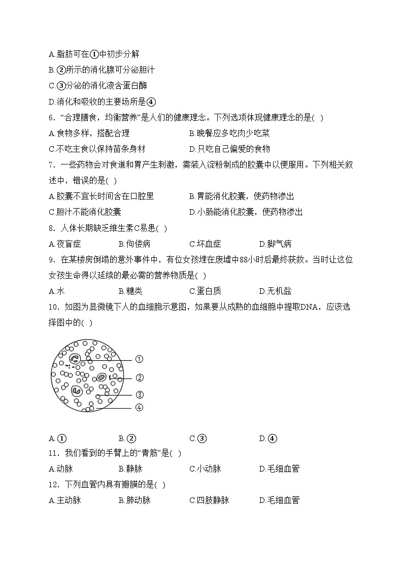 辽宁省鞍山市铁西区2022-2023学年七年级下学期期中生物试卷(含答案)02