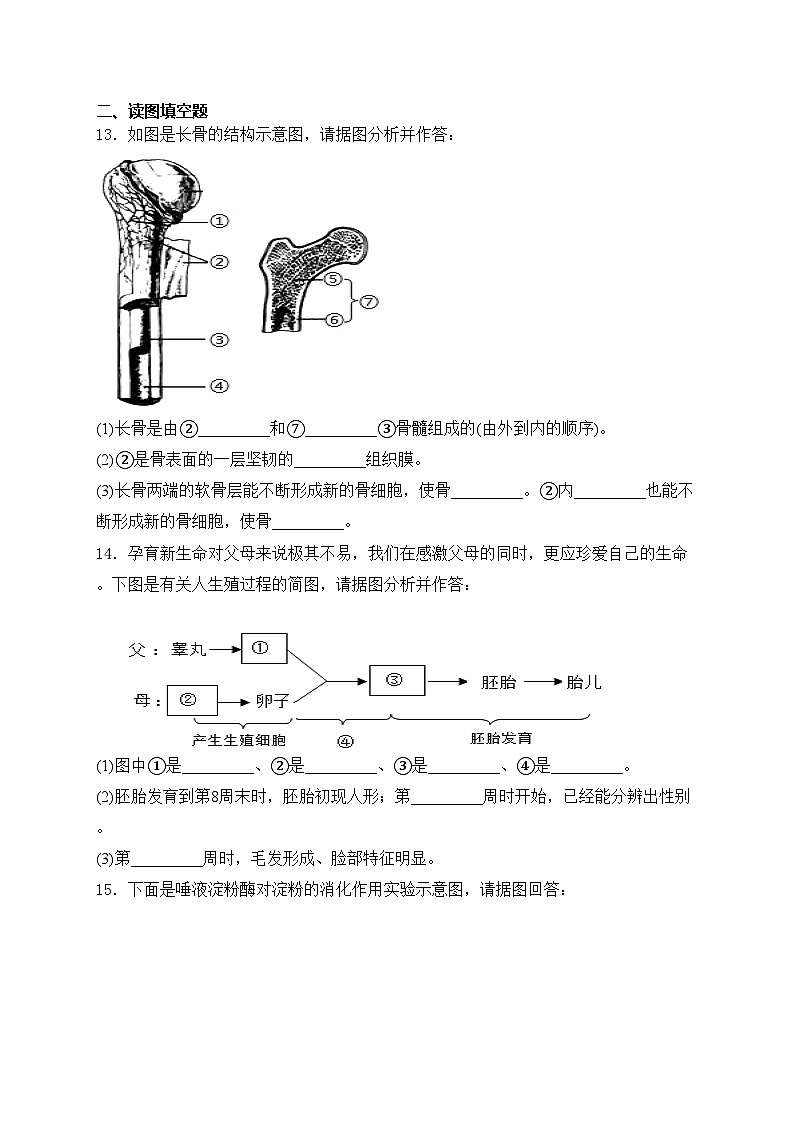 辽宁省鞍山市铁西区2022-2023学年七年级下学期期中生物试卷(含答案)03