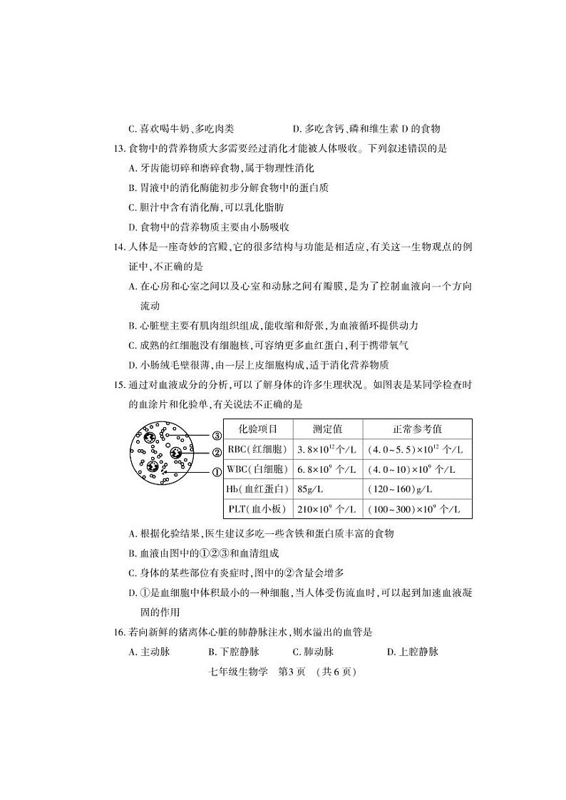 河南省洛阳市嵩县2023-2024学年七年级下学期期中考试生物试卷03