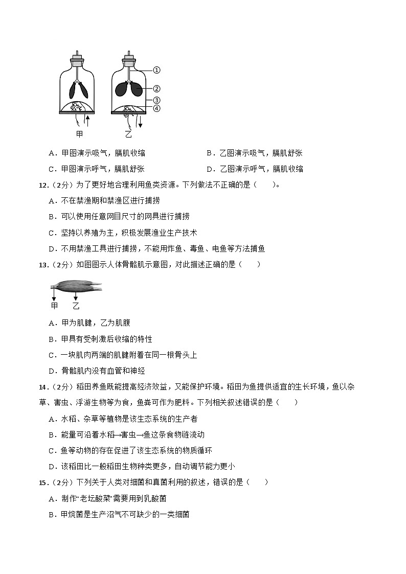 2024年甘肃省武威第四中学教研联片中考模拟考试二模生物试题03