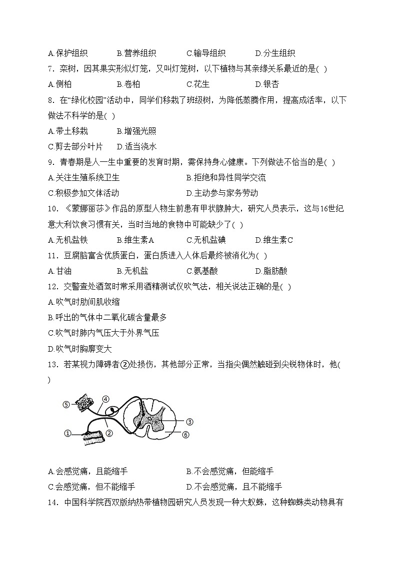 湖南省邵阳市2024年中考二模生物试卷(含答案)第2页