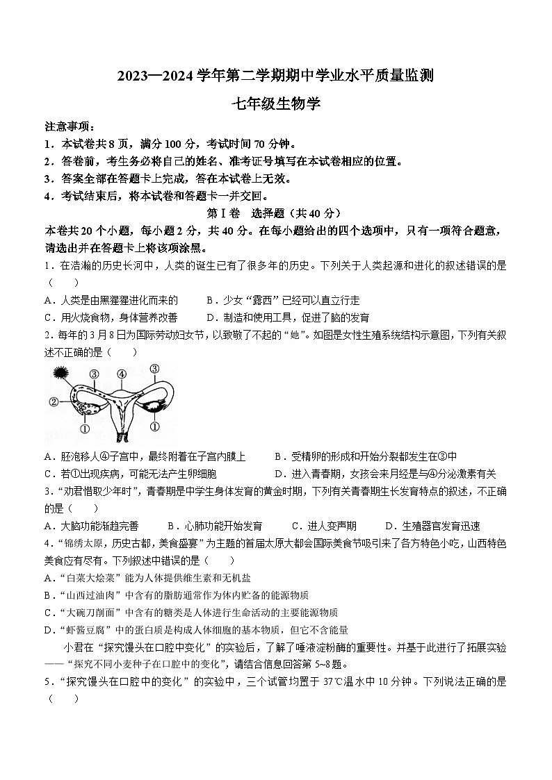 山西省晉中市左權縣+2023-2024學年七年級下學期4月期中生物試題第1頁