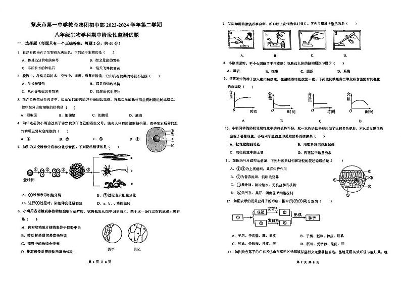 广东省肇庆市第一中学2023-2024学年八年级下学期期中考试生物试题01
